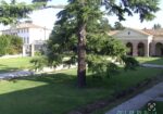 Cavasagra Villa corner le barchesse – vendo per inutilizzo tra fine luglio e inizi a agosto vicino Venezia Treviso Padova Vicenza Verona. Residence con piscina