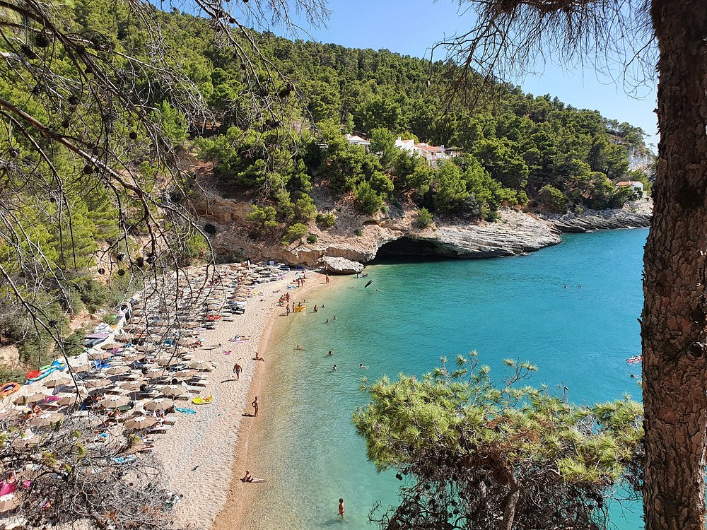 Vendesi multiproprietà presso Residence I Delfini Pugnochiuso (Parco nazionale del Gargano)