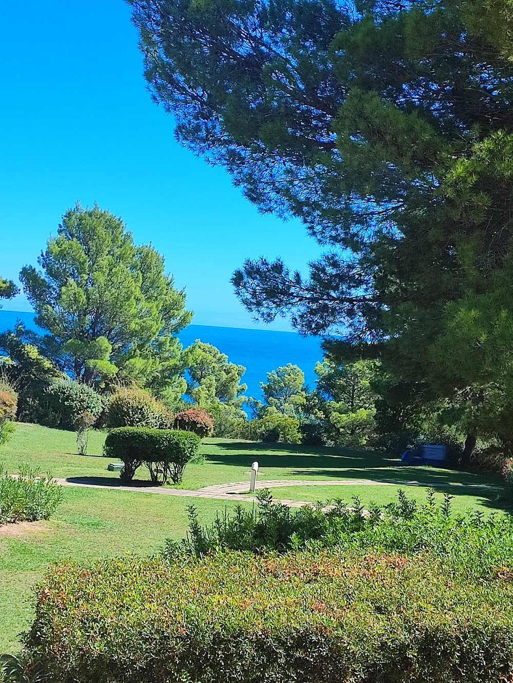 Vendesi multiproprietà presso Residence I Delfini Pugnochiuso (Parco nazionale del Gargano)